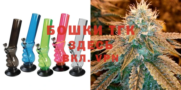 хмурый Горняк