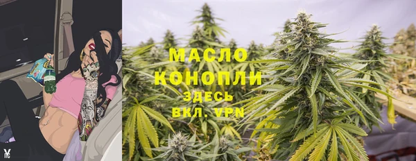 хмурый Горняк
