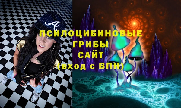 хмурый Горняк